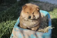 processed/fe789dbd-3318-44fc-a2e1-62add823e94f/listing/b0fdf240-9291-4659-96c2-ac41fdcbfc86/c3f44dbc-9f9d-4ca9-ba38-2e98a3a61489