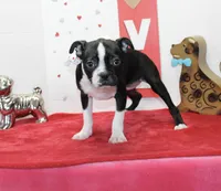 processed/fe789dbd-3318-44fc-a2e1-62add823e94f/listing/c02d373d-612b-41c3-9cd3-224fbc1ec4b8/53ad39ce-a1c7-4303-8eed-d172fe178204