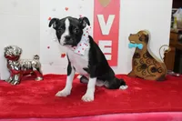 processed/fe789dbd-3318-44fc-a2e1-62add823e94f/listing/c02d373d-612b-41c3-9cd3-224fbc1ec4b8/6b25fa06-f9f1-4a9b-b565-ebca96d33727