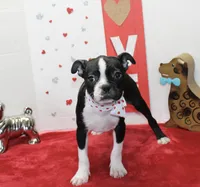 processed/fe789dbd-3318-44fc-a2e1-62add823e94f/listing/c02d373d-612b-41c3-9cd3-224fbc1ec4b8/c9792d97-7b82-48f7-a2be-906fc2114b37