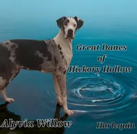 processed/fe8ba319-a776-4990-90e3-8065cd77cbb6/listing/12d531a9-ff34-46a9-b55f-fcb99c67e30c/1d1f32a8-9c02-429a-bfc4-2633f5d644c2