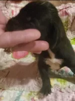 processed/fe8ba319-a776-4990-90e3-8065cd77cbb6/listing/12d531a9-ff34-46a9-b55f-fcb99c67e30c/5453fd4b-9731-4ff3-9ad1-d4bf2401d779