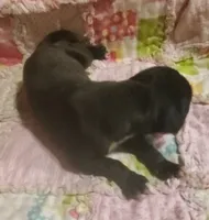 processed/fe8ba319-a776-4990-90e3-8065cd77cbb6/listing/12d531a9-ff34-46a9-b55f-fcb99c67e30c/5fd58ec6-88c1-4d1b-a313-e35989274eaf