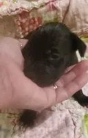 processed/fe8ba319-a776-4990-90e3-8065cd77cbb6/listing/12d531a9-ff34-46a9-b55f-fcb99c67e30c/a18ad1f9-8bcf-4e4c-a1d7-55136f47dd4e