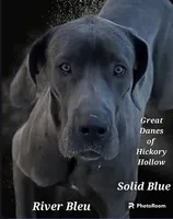 Daisy Mae, a  Great Dane for sale in Chillicothe, OH – Photo 9 of 9