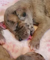 processed/fe8ba319-a776-4990-90e3-8065cd77cbb6/listing/4347e069-f6c1-47b8-a8de-a7629b13e47c/11d3bae2-1195-4e09-8110-359203102c13