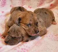 processed/fe8ba319-a776-4990-90e3-8065cd77cbb6/listing/4347e069-f6c1-47b8-a8de-a7629b13e47c/47be0442-3799-417c-b717-cfc617e91218