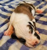 processed/fe8ba319-a776-4990-90e3-8065cd77cbb6/listing/4347e069-f6c1-47b8-a8de-a7629b13e47c/d5db8601-ba59-40e5-b4a5-7a4d2b274d67