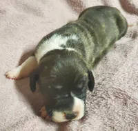 processed/fe8ba319-a776-4990-90e3-8065cd77cbb6/listing/4347e069-f6c1-47b8-a8de-a7629b13e47c/ffe9cd4d-4f54-4702-824e-9b34222406a3