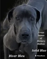 HOLDEN, a male Great Dane for sale in Chillicothe, OH – 8 of 8