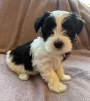 processed/fe8d5794-f8f7-4288-b27f-396801f16250/listing/6d57f79b-6616-4d85-976b-aace34b975d5/096c8869-08ac-4f05-847b-14e94f77e2fb