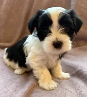 processed/fe8d5794-f8f7-4288-b27f-396801f16250/listing/6d57f79b-6616-4d85-976b-aace34b975d5/0fee9266-90c1-409b-8807-681988821b0e