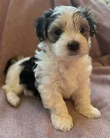 processed/fe8d5794-f8f7-4288-b27f-396801f16250/listing/9a978ee0-63cf-446a-8de7-c6e001612a33/6f3d0693-dab5-443a-90cb-8d22b6d5d5bb