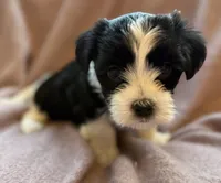 processed/fe8d5794-f8f7-4288-b27f-396801f16250/listing/f66b1ff3-5f4a-4a95-bf5e-1ee181a8f6c7/d884f459-5014-4224-a8f7-691d69681397