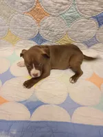 processed/fe9508ab-998b-489f-934e-c8a319811d87/listing/3f690b30-a32b-402f-b5f0-914b3494d2ec/268333d7-d94b-4e37-89eb-2a3147722fe9