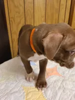 processed/fe9508ab-998b-489f-934e-c8a319811d87/listing/3f690b30-a32b-402f-b5f0-914b3494d2ec/34fafe68-0a90-4ec6-b380-9bf4e5869bac