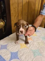 processed/fe9508ab-998b-489f-934e-c8a319811d87/listing/3f690b30-a32b-402f-b5f0-914b3494d2ec/3c634548-42ee-40c8-bb1e-845a19fd2bc0