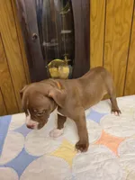 processed/fe9508ab-998b-489f-934e-c8a319811d87/listing/3f690b30-a32b-402f-b5f0-914b3494d2ec/a8f06ab0-08df-444c-ac83-b80e8e7231ea