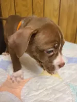 processed/fe9508ab-998b-489f-934e-c8a319811d87/listing/3f690b30-a32b-402f-b5f0-914b3494d2ec/abb4c3ea-0eb3-4797-9a32-edc49d563707