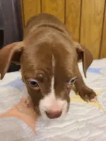 processed/fe9508ab-998b-489f-934e-c8a319811d87/listing/3f690b30-a32b-402f-b5f0-914b3494d2ec/df924310-1a47-40b0-a3e4-d54e5e150117