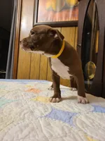 processed/fe9508ab-998b-489f-934e-c8a319811d87/listing/6372deff-3f91-4f6b-a541-c2c22ea2abef/0e15139f-db27-4e01-be0f-7bbf1a06043a