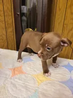 processed/fe9508ab-998b-489f-934e-c8a319811d87/listing/6372deff-3f91-4f6b-a541-c2c22ea2abef/2e006460-f055-4cdd-b4e6-4c66133d670a