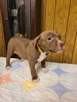 processed/fe9508ab-998b-489f-934e-c8a319811d87/listing/6372deff-3f91-4f6b-a541-c2c22ea2abef/362cdd1b-af43-42bb-b9a4-8a2bf9b1c226