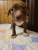 processed/fe9508ab-998b-489f-934e-c8a319811d87/listing/6372deff-3f91-4f6b-a541-c2c22ea2abef/38813034-b5ad-4190-855d-6108f31c7375