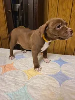 processed/fe9508ab-998b-489f-934e-c8a319811d87/listing/6372deff-3f91-4f6b-a541-c2c22ea2abef/430cb02a-2840-48a5-b46e-a20630dfc77b