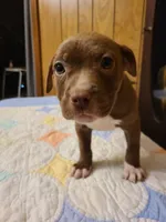 processed/fe9508ab-998b-489f-934e-c8a319811d87/listing/6372deff-3f91-4f6b-a541-c2c22ea2abef/73cb04d8-fb1e-48c1-ad92-e65e30f55023