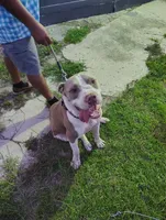 processed/fe9508ab-998b-489f-934e-c8a319811d87/listing/6372deff-3f91-4f6b-a541-c2c22ea2abef/996f0603-d075-4762-a7a7-af165e295467