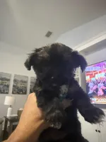 processed/fea89839-761c-4c9a-97c0-9d8655aacf40/facility/b3ba7cf7-4cb1-4758-b0f5-f3ba14cbb899