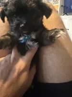 processed/fea89839-761c-4c9a-97c0-9d8655aacf40/facility/bb7a5d4b-90e5-4a65-8c84-38460f20d8c6