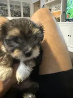 processed/fea89839-761c-4c9a-97c0-9d8655aacf40/facility/fa8df39d-841a-44a0-9473-b1b9dd3199ad