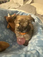 processed/fea89839-761c-4c9a-97c0-9d8655aacf40/listing/04a7a5e8-185e-49ab-8c68-13f4c59249f3/1a1068c0-790d-4910-a355-54279cf31fd4