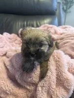 processed/fea89839-761c-4c9a-97c0-9d8655aacf40/listing/04a7a5e8-185e-49ab-8c68-13f4c59249f3/2c6496d0-f276-4631-8df2-2fbdfeea6d99