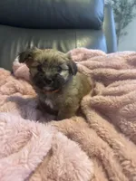 processed/fea89839-761c-4c9a-97c0-9d8655aacf40/listing/04a7a5e8-185e-49ab-8c68-13f4c59249f3/7f7e63b5-293d-4059-bf6c-aa93d3dc6462