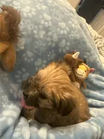 processed/fea89839-761c-4c9a-97c0-9d8655aacf40/listing/04a7a5e8-185e-49ab-8c68-13f4c59249f3/b763edc0-564a-4eba-b212-1b9624767e12