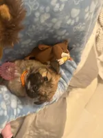 processed/fea89839-761c-4c9a-97c0-9d8655aacf40/listing/04a7a5e8-185e-49ab-8c68-13f4c59249f3/fdb64c03-5e16-444a-a315-e26515d10b4d