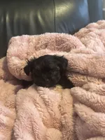 processed/fea89839-761c-4c9a-97c0-9d8655aacf40/listing/24acbdb9-9e24-4ee7-be2a-362075d0136c/66bbd51f-4fcb-4674-a268-fd3d6f895a1f