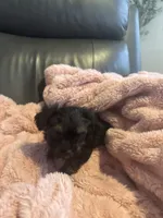 processed/fea89839-761c-4c9a-97c0-9d8655aacf40/listing/24acbdb9-9e24-4ee7-be2a-362075d0136c/ac89640f-f20e-40d9-b15e-d8d3ca0206df