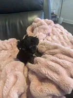 processed/fea89839-761c-4c9a-97c0-9d8655aacf40/listing/24acbdb9-9e24-4ee7-be2a-362075d0136c/bfe72671-486b-498d-b692-6efc5d4768d9