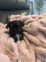 processed/fea89839-761c-4c9a-97c0-9d8655aacf40/listing/24acbdb9-9e24-4ee7-be2a-362075d0136c/c7043f2e-7062-488b-927f-e62ee9b65540