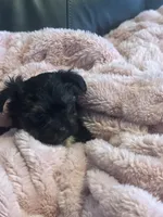 processed/fea89839-761c-4c9a-97c0-9d8655aacf40/listing/24acbdb9-9e24-4ee7-be2a-362075d0136c/e7893b7e-1444-4ee2-b095-484967e2394e