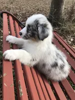 processed/feb8549f-73cf-4a38-b263-3c74713bf130/facility/133bdb6e-a123-40d9-8d77-ef639d1397c0