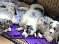 processed/feb8549f-73cf-4a38-b263-3c74713bf130/facility/55d17685-6902-4bc0-8081-30e2225f5884