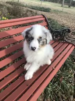 processed/feb8549f-73cf-4a38-b263-3c74713bf130/facility/67c6a577-24a0-4fe3-9249-c32543103744