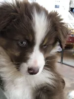 processed/feb8549f-73cf-4a38-b263-3c74713bf130/facility/75e663d9-5f4e-4389-976d-355b8a9a2291