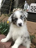 processed/feb8549f-73cf-4a38-b263-3c74713bf130/facility/91154730-7e0f-4f58-a592-457d283e5012