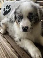 processed/feb8549f-73cf-4a38-b263-3c74713bf130/facility/ad14f3cd-15cb-4070-bece-99eb9f91c13a